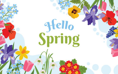 Spring Laundry Room Refresh